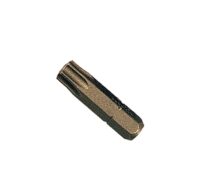 Bit, Torx, Tamper Resistant